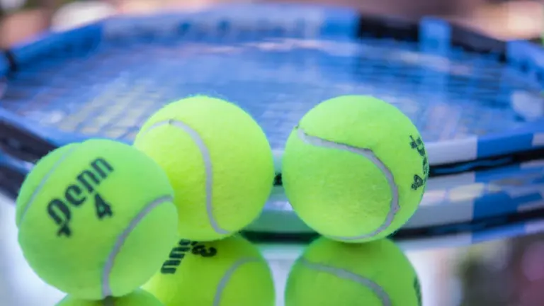 Iga Świątek po tytuł US Open 2026: finał 12 września