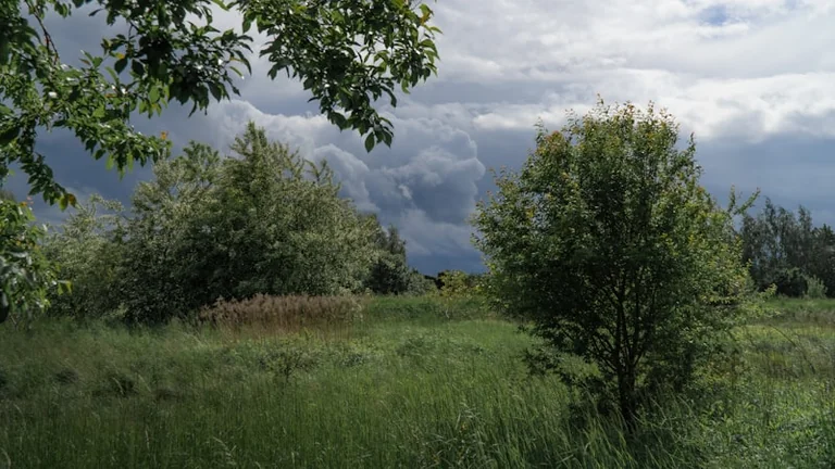 Ostrzeżenia IMGW: Gwałtowne burze z gradem nad Polską 20 sierpnia