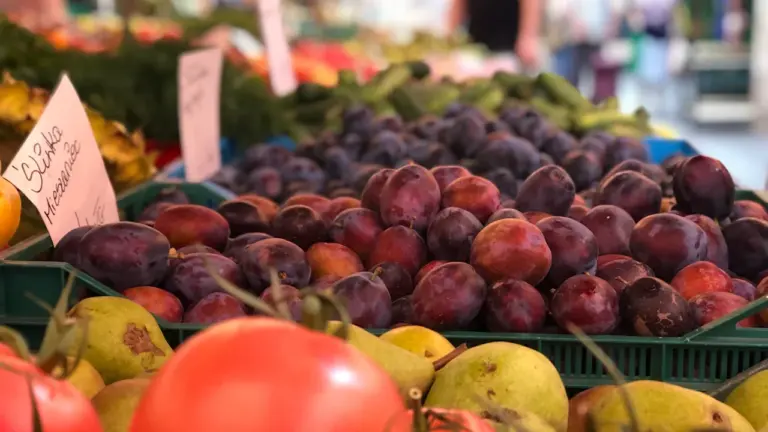 Polska: czy inflacja CPI spadnie poniżej 3% w grudniu 2026?